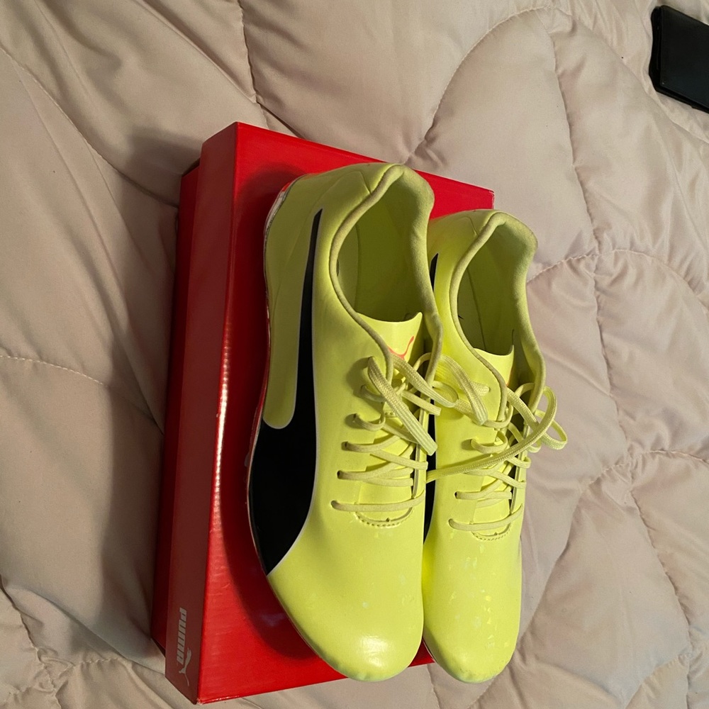 Track puma running spikes